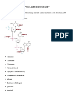 Biochimie-structurala-2