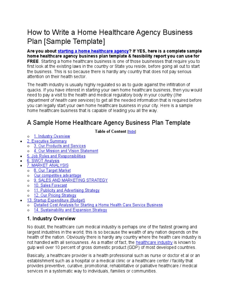 How To Write A Home Healthcare Agency Business Plan PDF Health Care