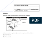 Avaliação Diagnóstica 8º Ano-Geografia