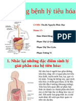 BÀI GIẢNG Đại Cương Bệnh Lý Tiêu Hóa