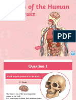 Organs of The Human Body Quiz Ver 5