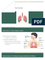 Radiology Pulmonary Infections Report