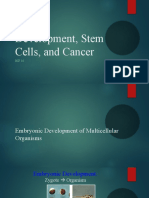 Development, Stem Cells, and Cancer