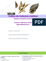 1.biología Moluscos