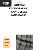 Normal Anatomy of Radiology | PDF | Human Tooth | Dental Anatomy