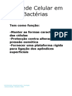 Parede Celular Das Bactérias