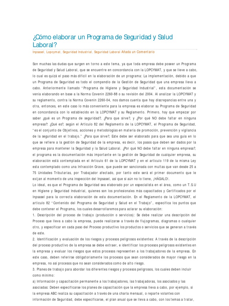 Guía para Programa de Seguridad Laboral | PDF | Seguridad y salud ...