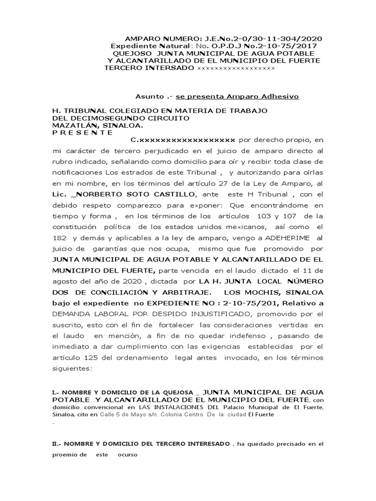 Amparo Adhesivo en Juicio Laboral | PDF | Caso de ley | Violación