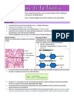 Trastornos de La Tiroides Resumen PDF
