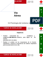 3.2 Fisiología Del Sistema Respiratorio