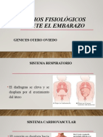 Cambios Fisiológicos Durante El Embarazo