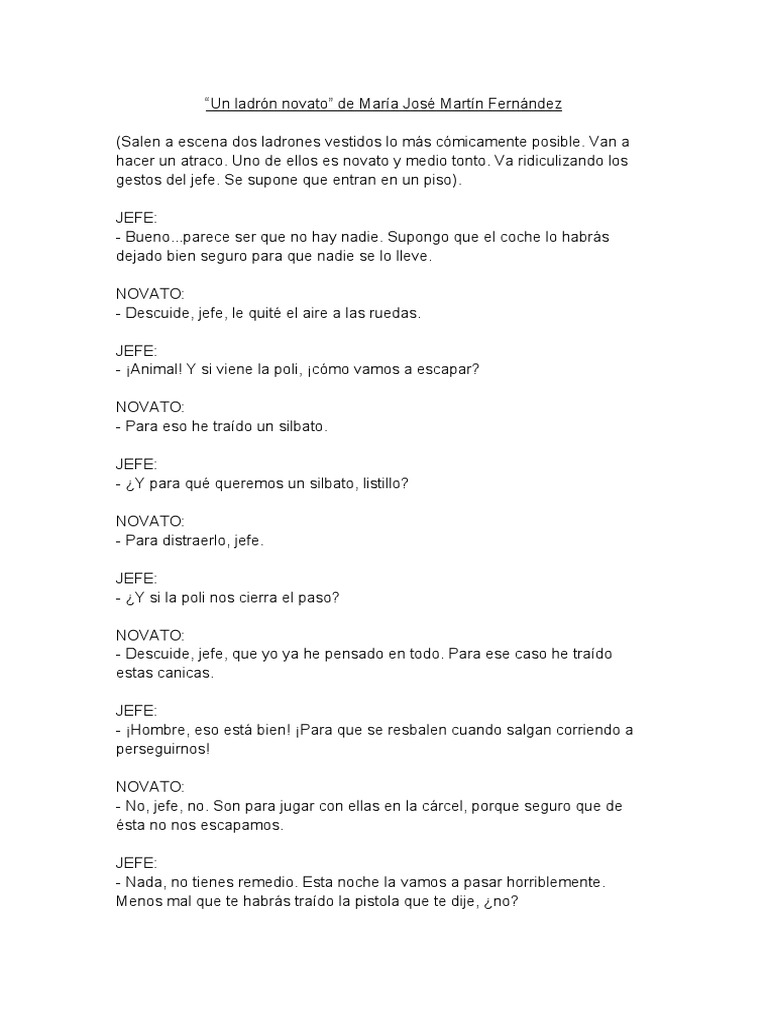 "UN LADRÓN NOVATO" de María José Martín Fernández PDF