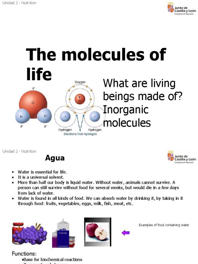 The Essential Molecules of Life Water, Mineral Salts, and Their Vital