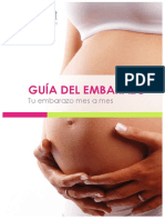 Guia Embarazo Clinica Millet