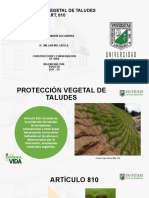 Protección Vegetal de Taludes