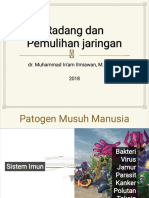 Radang Dan Pemulihan Jaringan (Dr. In'am)