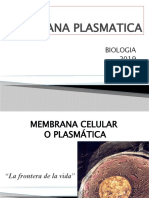 Membrana Plasmatica Ppt. 2019