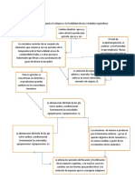 Mapa Conceptual