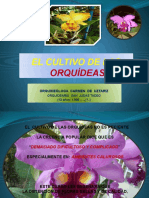 El Cultivo de Las Orquídeas