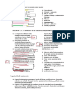 Estudio Colonnier 1 1