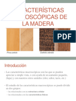 Características macroscópicas de la madera