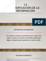 Codificación de La Información