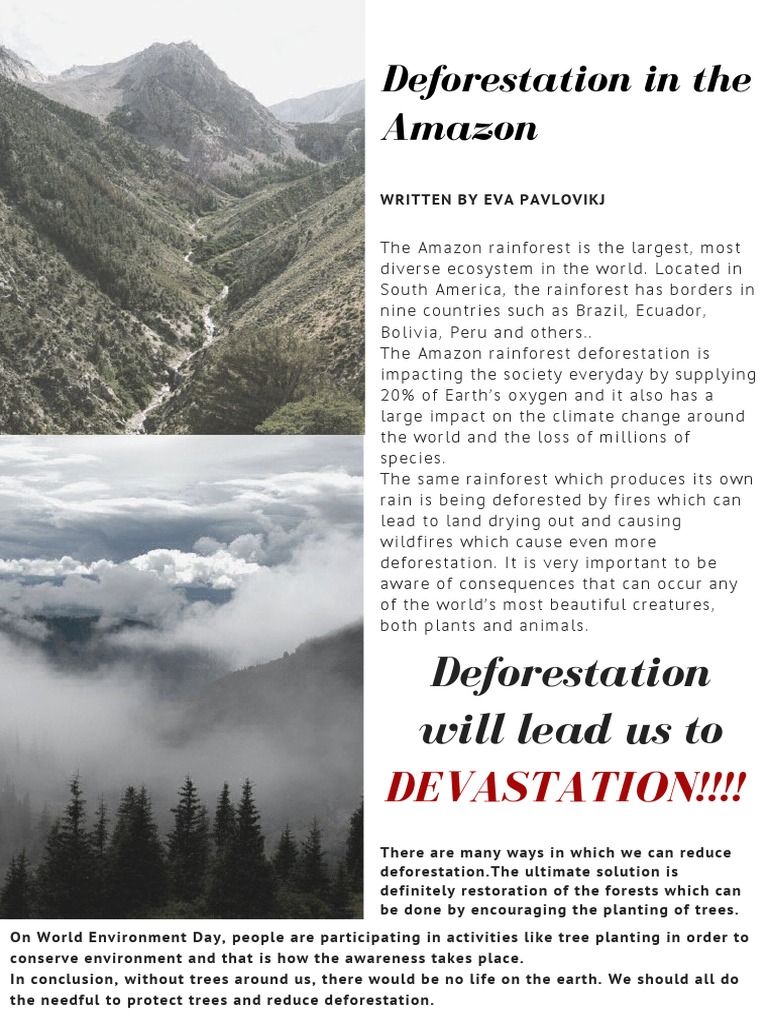 Deforestation in The Amazon | PDF | Amazon Rainforest | Deforestation