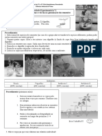 Protocolos experimentais1 (3)