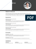 Plantilla CV 1 Gratis InfoJobs