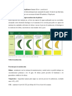 desarrollo practica poscosecha