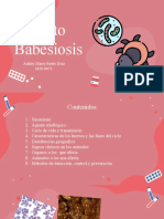 Exposicion de Parasitosis 1