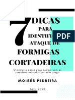7 DICAS PARA IDENTIFICAR ATAQUE DE FORMIGAS CORTADEIRAS