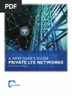 Private Lte Networks: A New User'S Guide