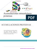 Acumulaciones Intracelulares