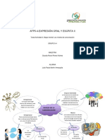 Mapa Mental de Los Niveles de Comunicacion