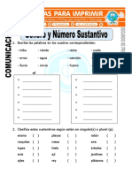 Ficha de Genero y Numero Del Sustantivo Para Segundo de Primaria