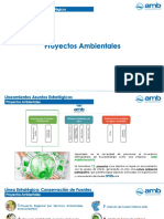 Proyectos Ambientas Amb SA ESP