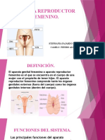Sistema reproductor femenino: funciones, partes y enfermedades