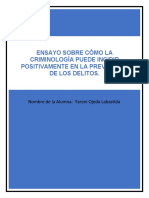 Ensayo Sobre Cómo La Criminología Puede Incidir Positivamente en La Prevención de Los Delitos