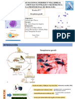 Practica 08 - Grupo 1 - Toxoplasma Finl