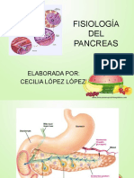 Fisiología Del Pancreas Cll