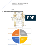 Trabajo No. 4 Sistema Músculo Esquelético