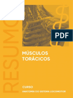 611c1d781cae3 Resumo-MusculosToracicos