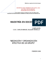 Mediacion y Organizacion Efectiva de Un Grupo