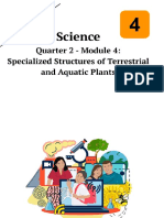 Science4 Q2 Mod4 Specialized Structures of Terrestrial and Aquatic-Plants v2