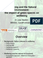 Wellbeing and The Natural Environment: The Impact of Green Spaces On Wellbeing
