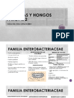 Bacteriologia 2