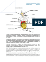 Aparatos y Sistemas-Nutricion