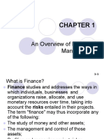 Financial Management Chapter 1 Overview