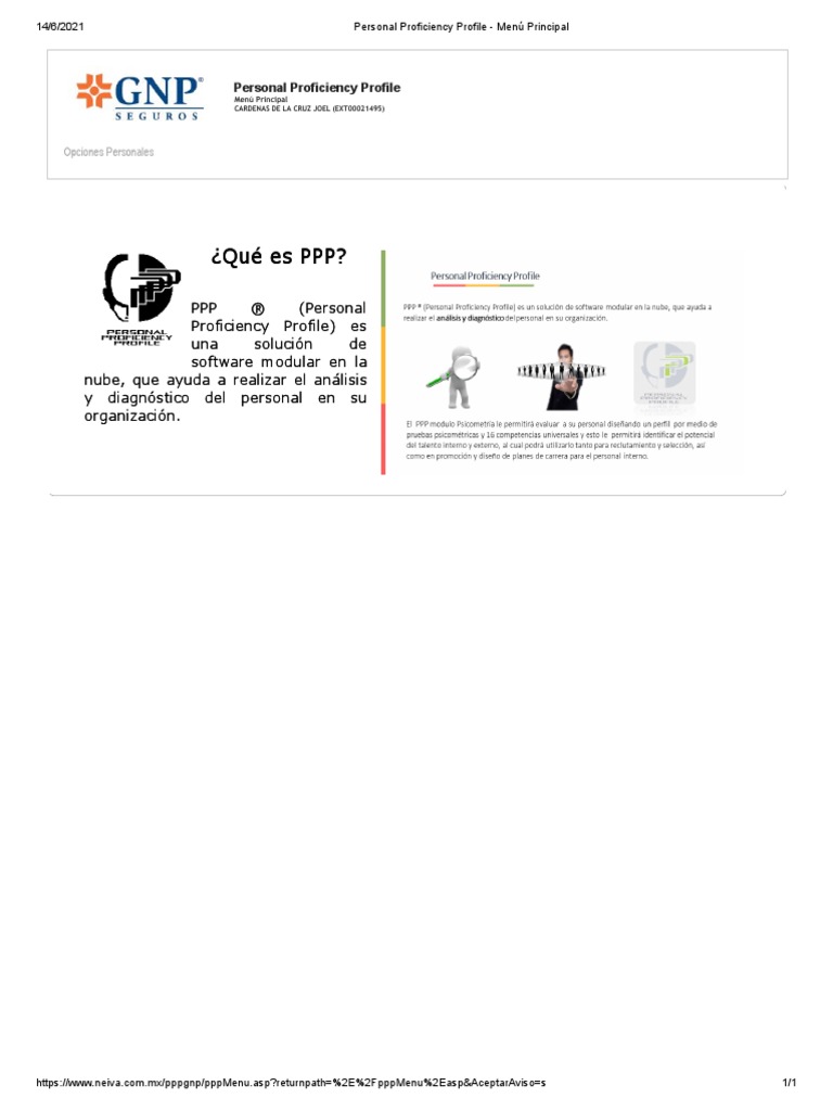 Profile 1 | PDF